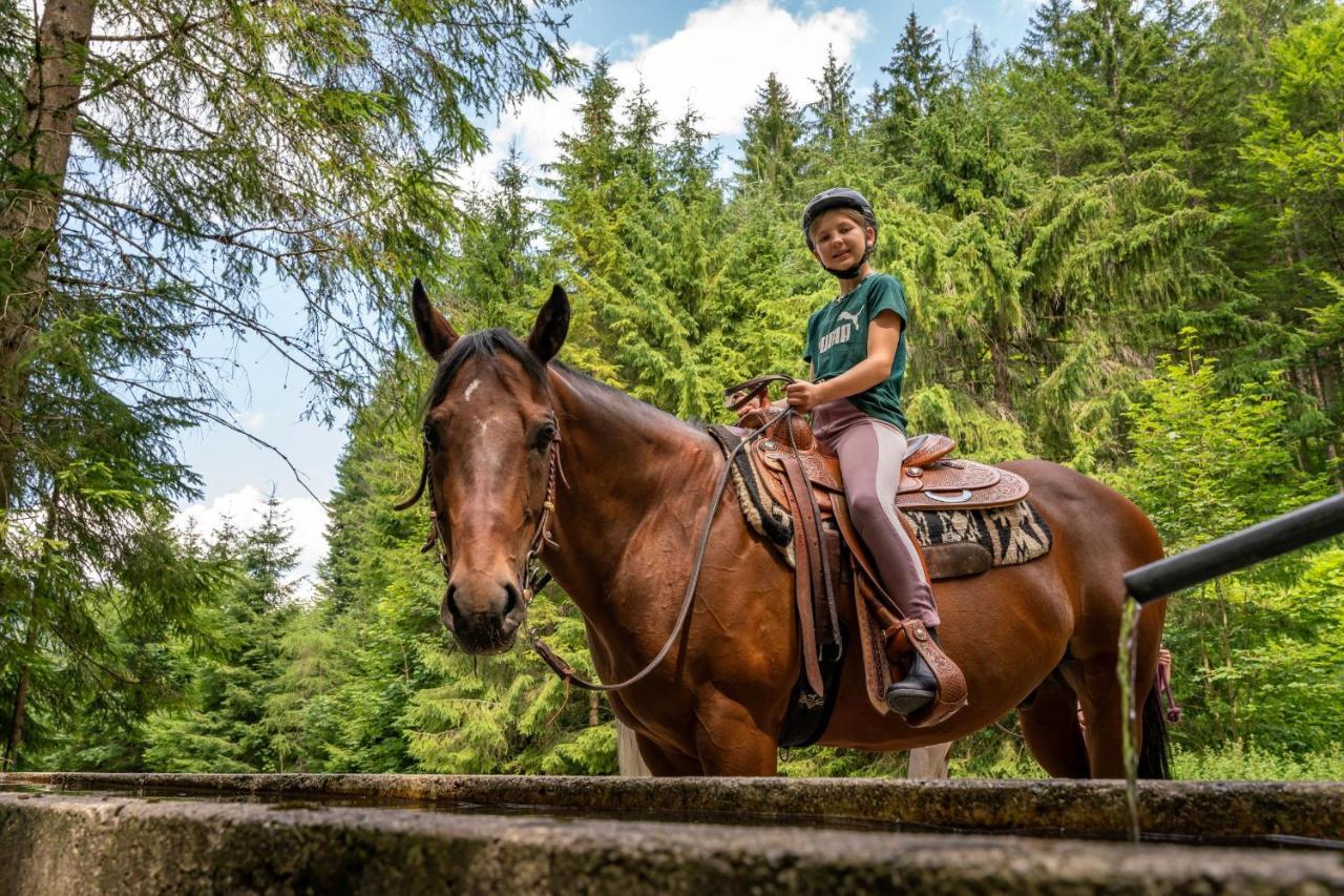 Apart Garni Montana Pertisau Kültér fotó