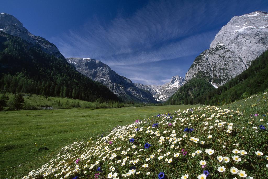 Apart Garni Montana Pertisau Kültér fotó