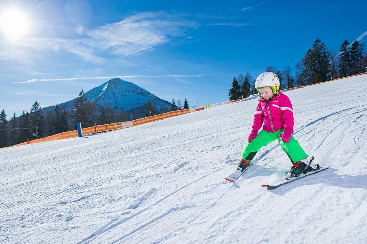 Apart Garni Montana Pertisau Kültér fotó
